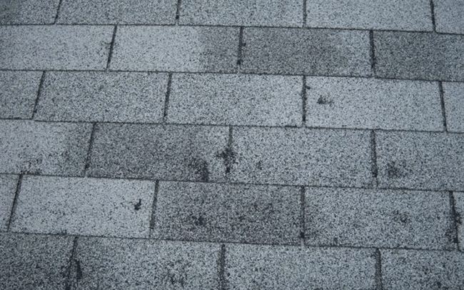 Close-up of weathered asphalt shingles showing dark staining and wear